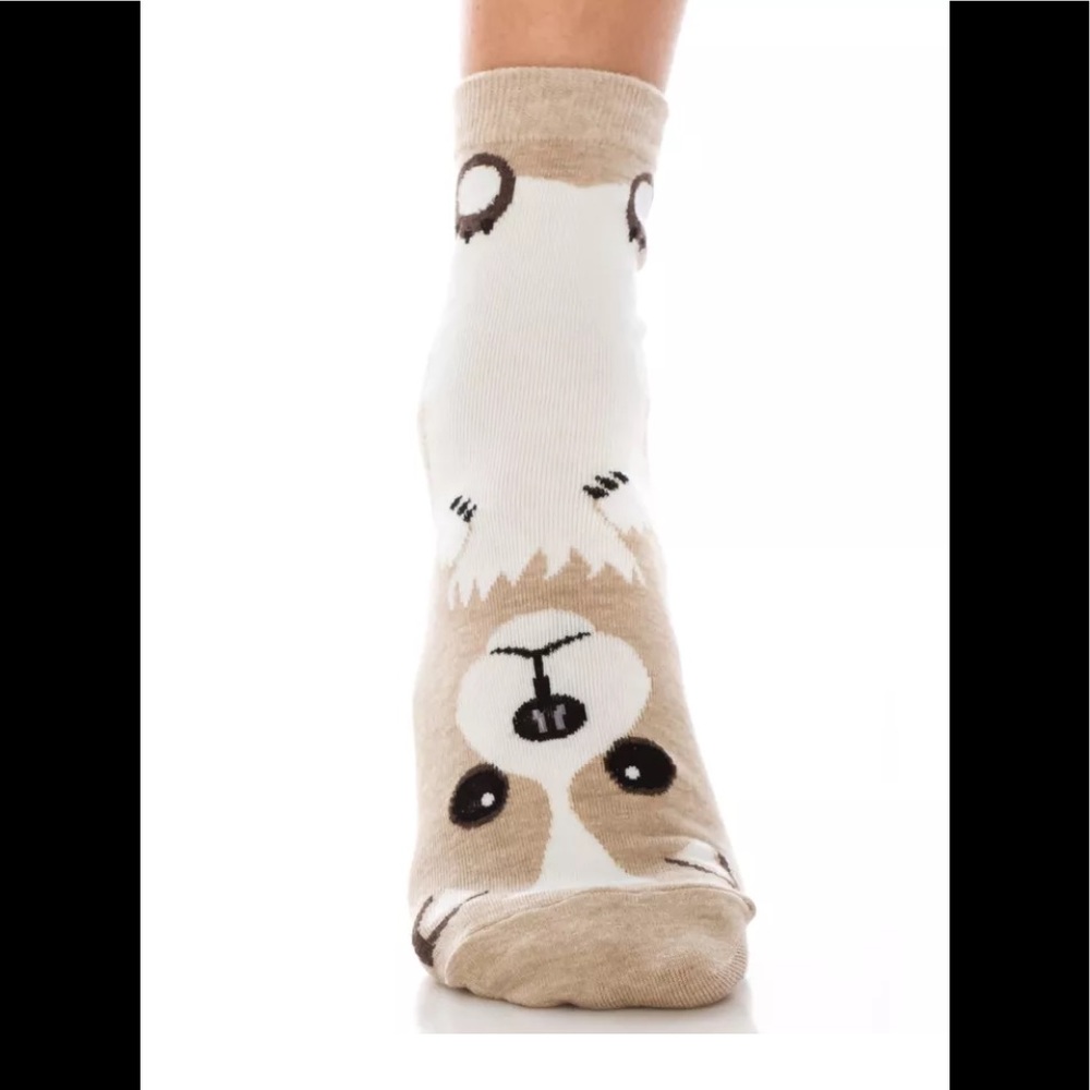 Cute pug socks